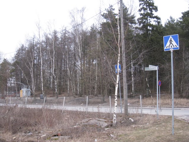 [IMG_1624-718624.JPG]