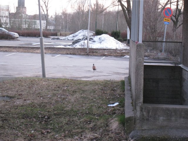 [IMG_1638-737852.JPG]