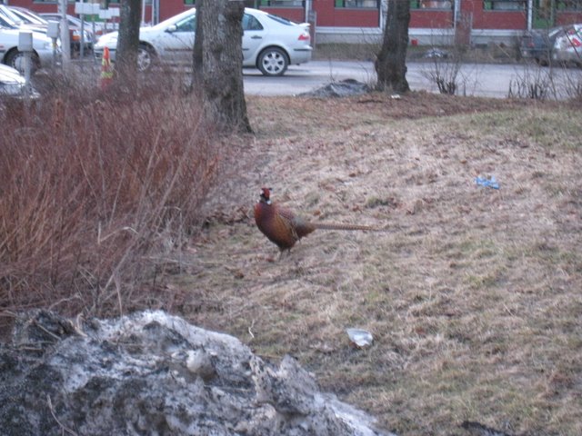 [IMG_1640-738844.JPG]