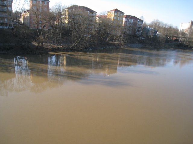 [IMG_1671-726200.JPG]