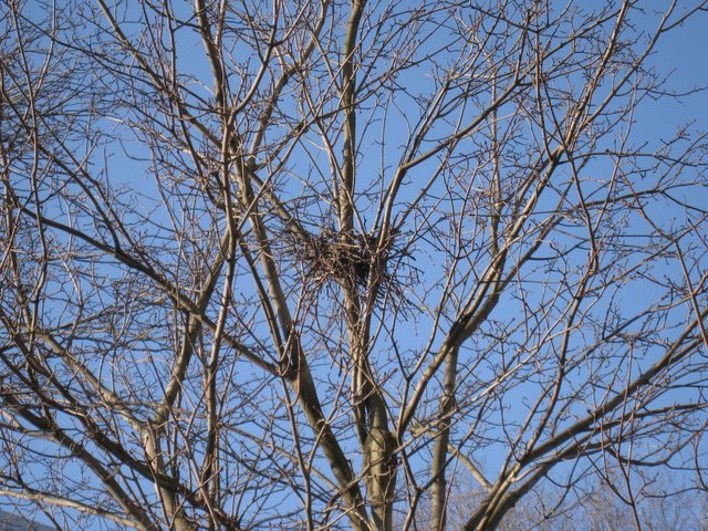 [IMG_1719-743514.JPG]