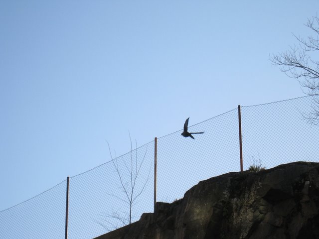 [IMG_1721-731873.JPG]