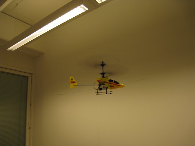 [IMG_1730-798722.JPG]