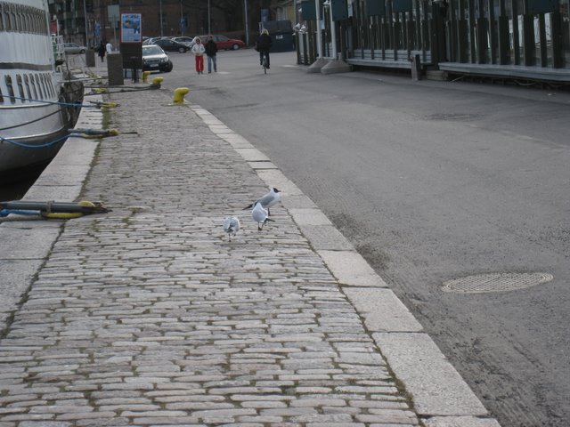 [IMG_1786-781502.JPG]