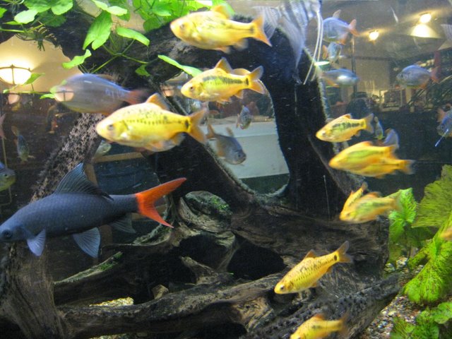 [IMG_1806-789986.JPG]