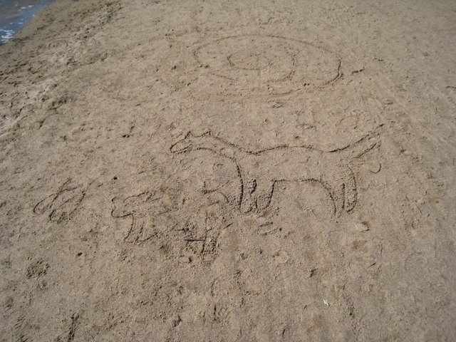 [IMG_1964-745201.JPG]