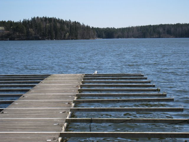 [IMG_1978-751230.JPG]