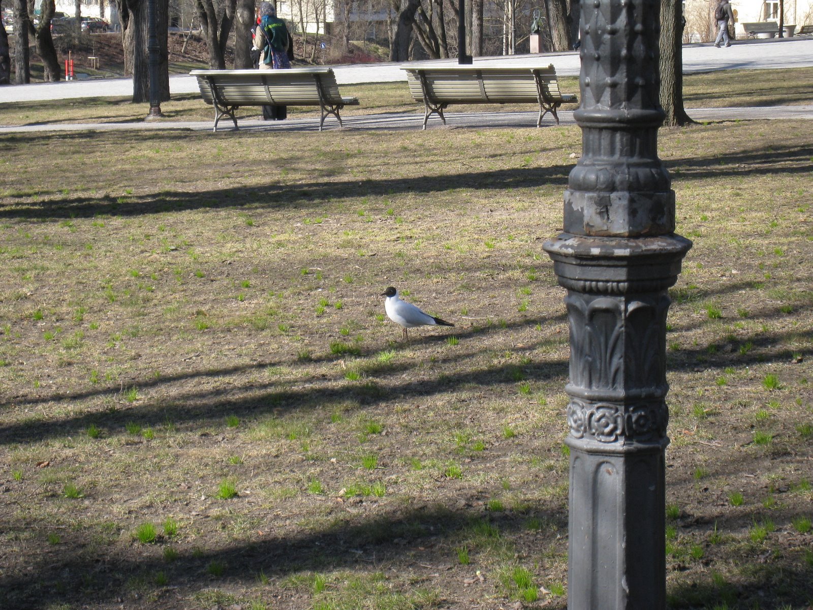 [IMG_1822-717380.JPG]