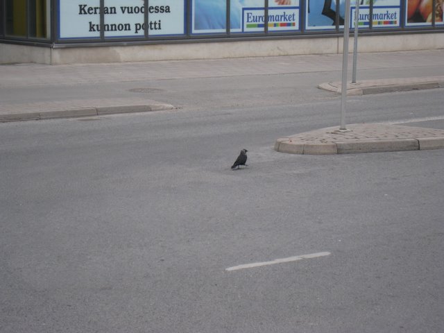 [IMG_2183-711649.JPG]