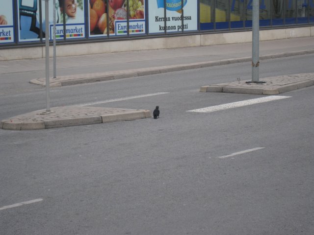 [IMG_2184-712536.JPG]