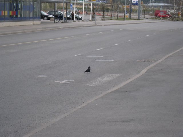 [IMG_2185-713170.JPG]