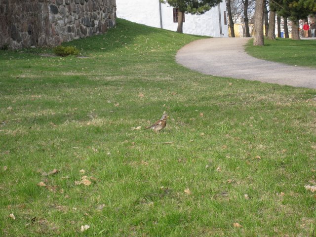 [IMG_2258-729288.JPG]