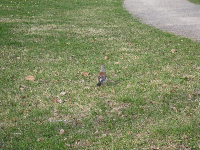 [IMG_2265-732886.JPG]