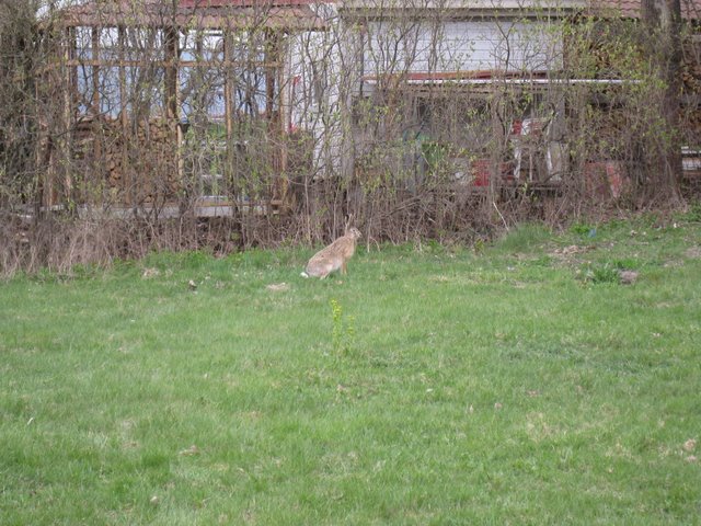 [IMG_2308-788052.JPG]