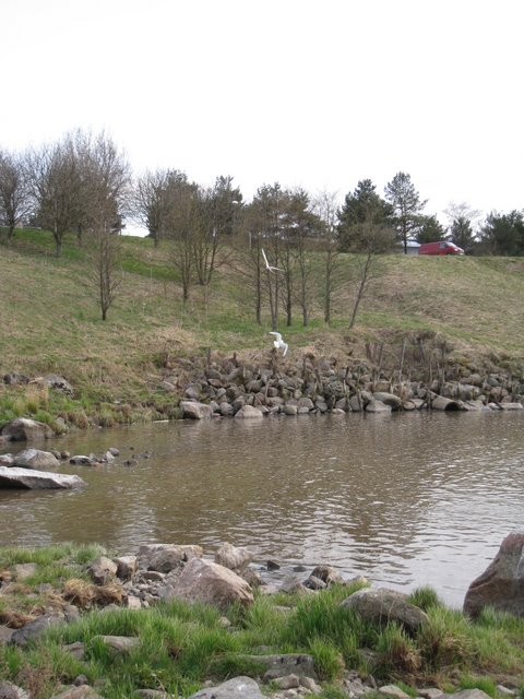 [IMG_2322-734440.JPG]