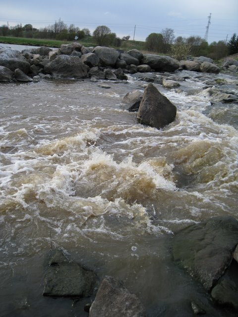 [IMG_2324-752993.JPG]