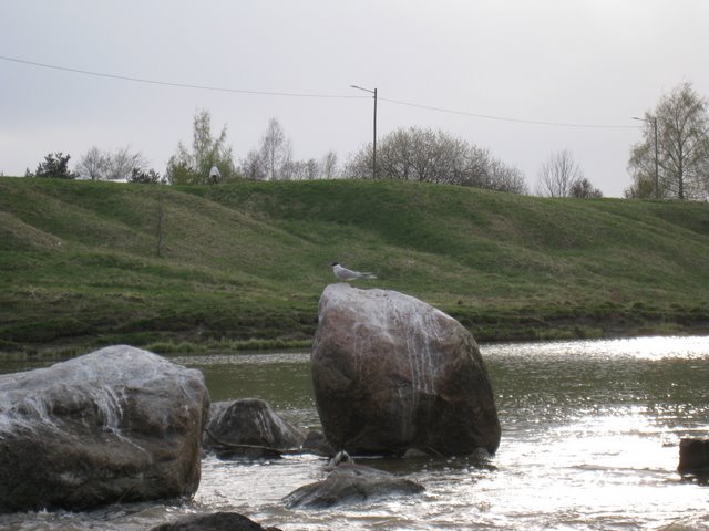 [IMG_2328-754903.JPG]