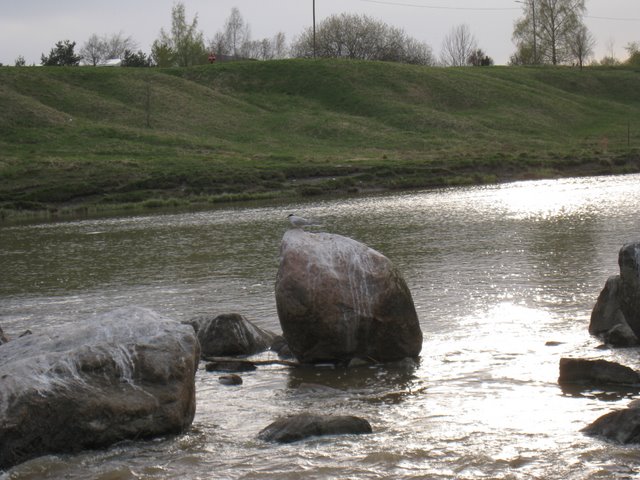[IMG_2327-754485.JPG]