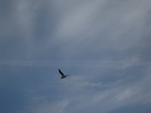 [IMG_2332-756676.JPG]