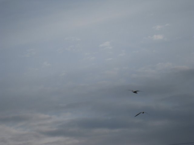 [IMG_2337-758870.JPG]