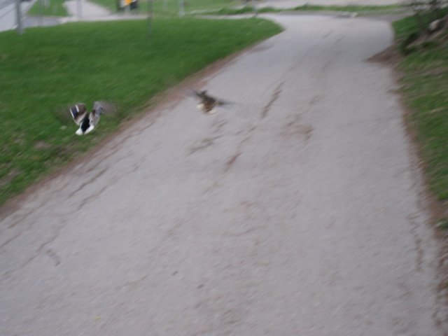 [IMG_2356-711377.JPG]