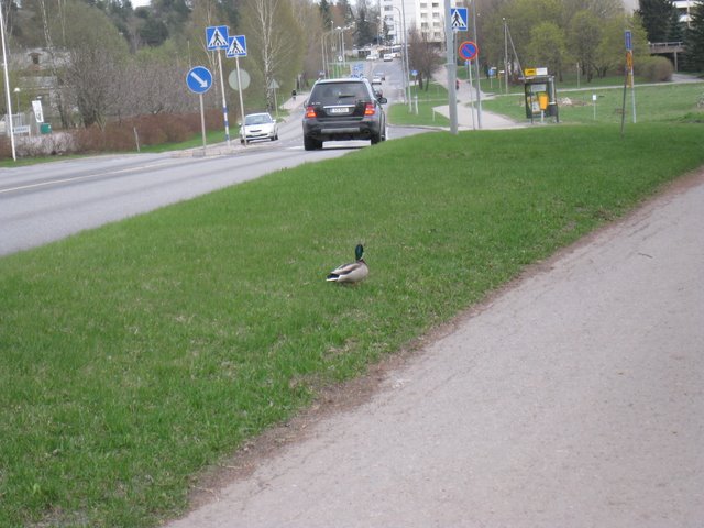 [IMG_2354-710930.JPG]