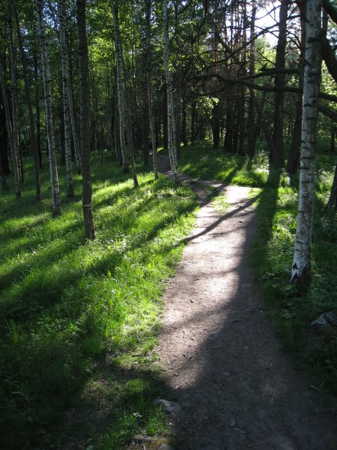 [IMG_2518-726209.JPG]