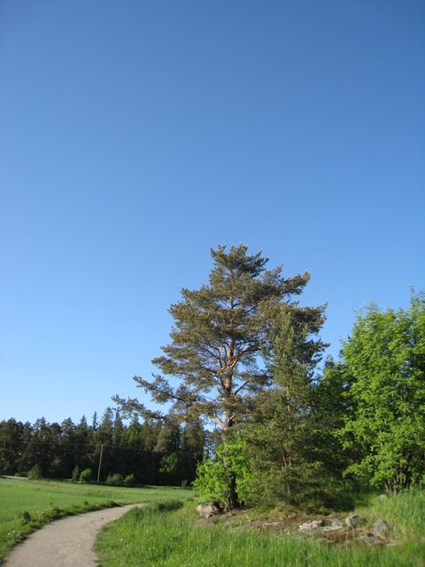 [IMG_2524-773890.JPG]