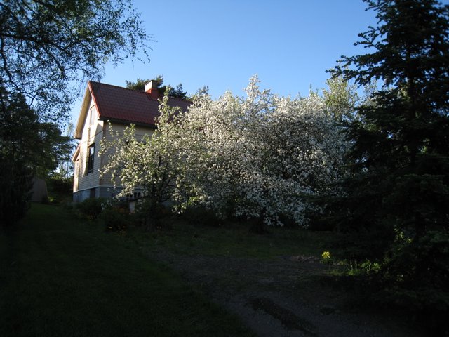 [IMG_2549-732251.JPG]