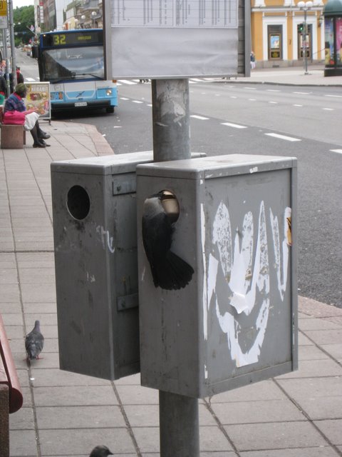 [IMG_2560-774713.JPG]