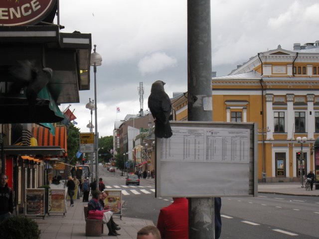 [IMG_2563-777336.JPG]