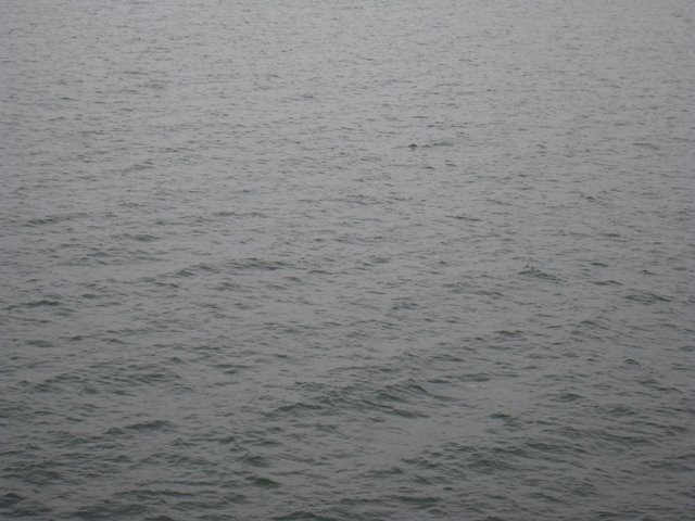 [IMG_2639-763356.JPG]