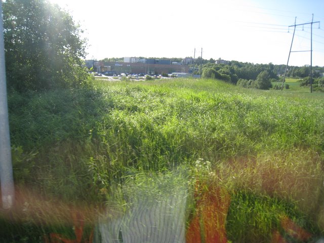 [IMG_2735-760813.JPG]