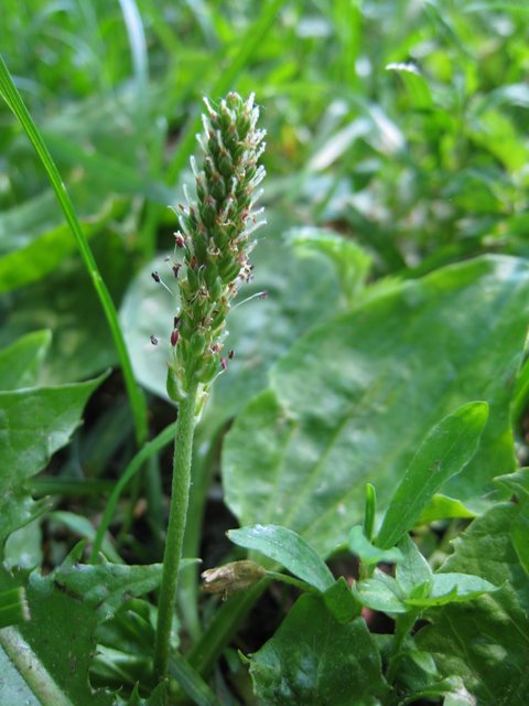 [IMG_2755-780799.JPG]