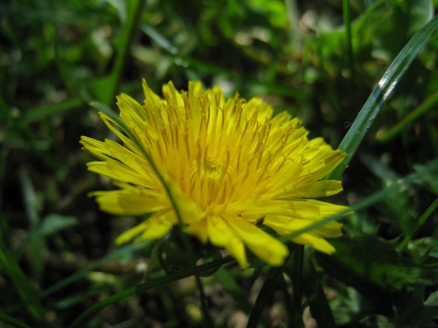 [IMG_2754-780272.JPG]
