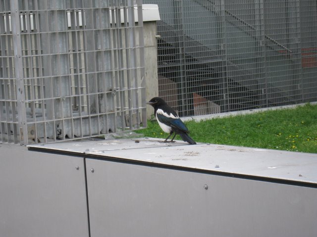 [IMG_2841-718909.JPG]