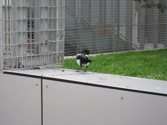 [IMG_2842-719639.JPG]