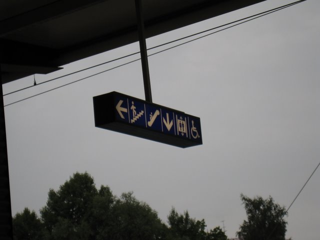 [IMG_2967-731208.JPG]
