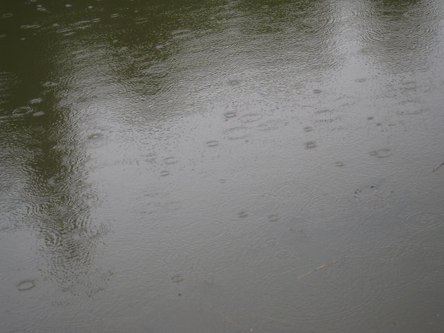 [IMG_2982-711036.JPG]