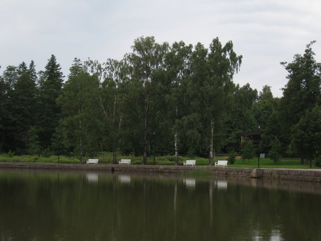 [IMG_2985-713172.JPG]