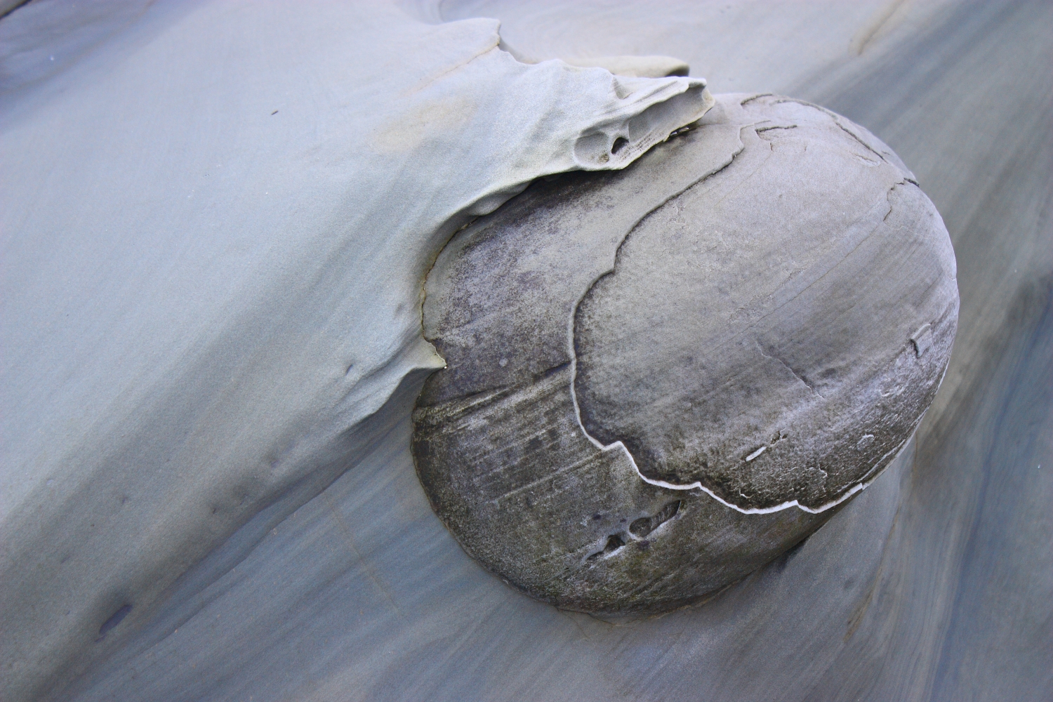 Oregon Like No Other Concretion Rock Art