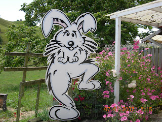 New Zealand - Aotearoa: 20. Waitomo - Caves and Rabbits