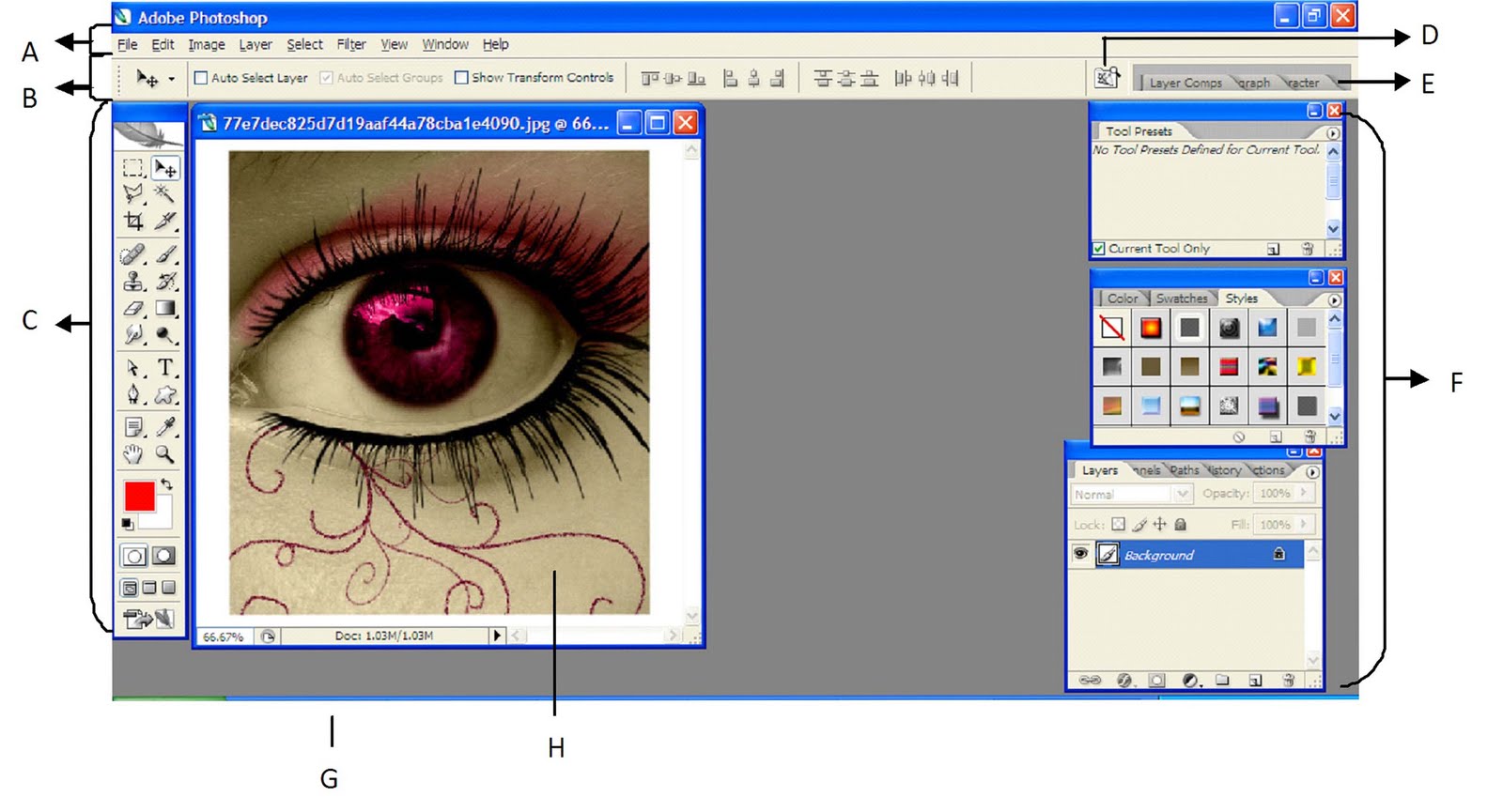 Free Design Photoshop Wrok Area