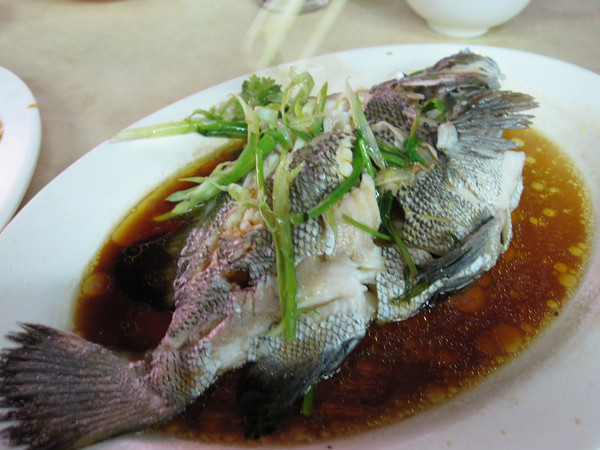 [484406828_FHN63-M.jpg]