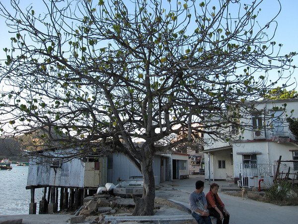 [483702054_wrjUF-M.jpg]