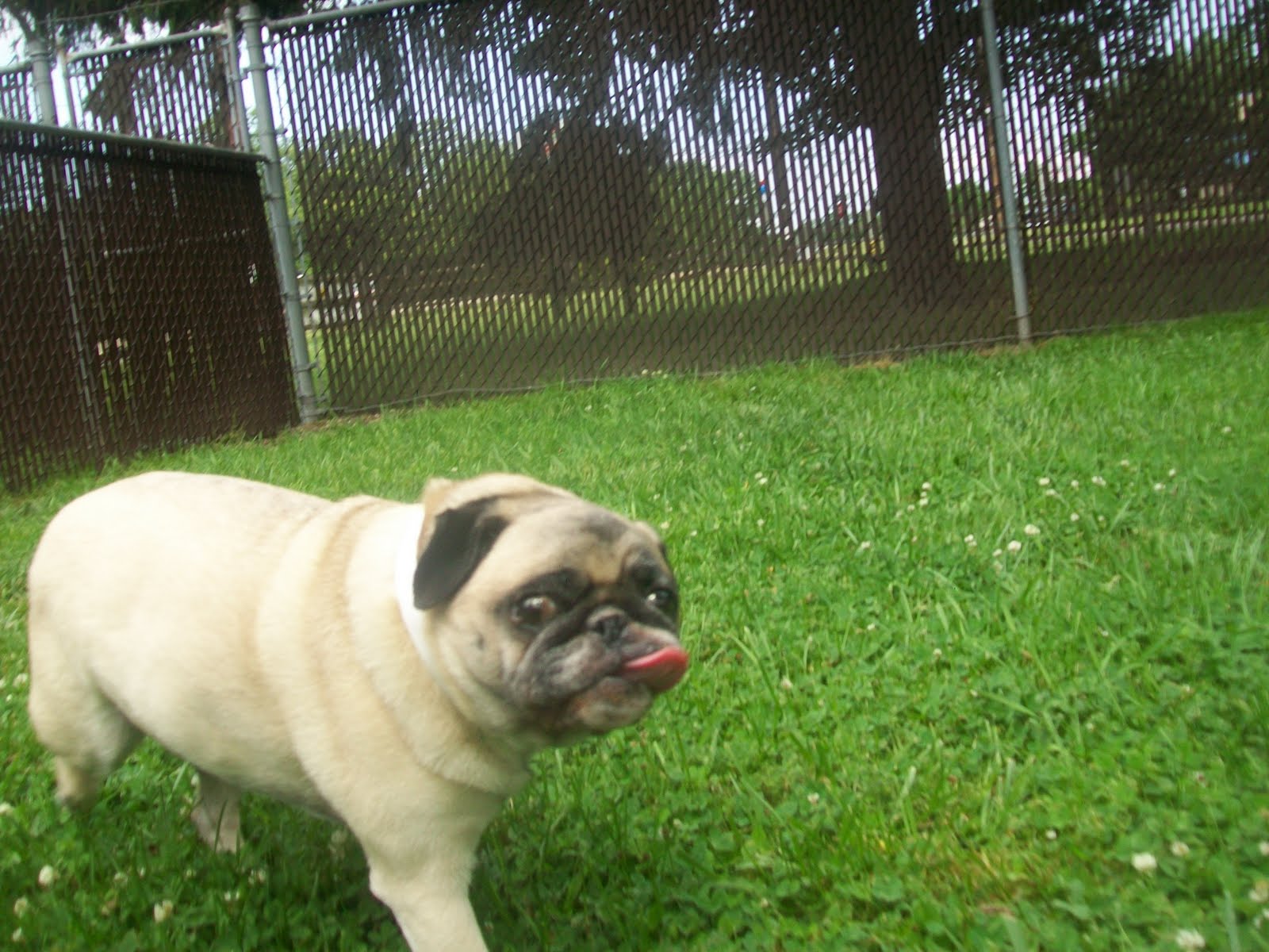 Best Friends Cinnaminson