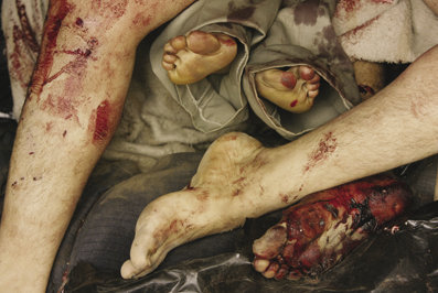 [jeromedelay-749221.jpg]