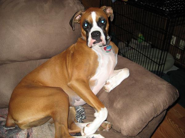 [l_dbc58d72fb4dcf5d3ef036d41700baa2.jpg]