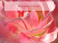 romantic rose flower ecard