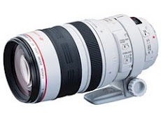 Canon Lens EF 100-400mm F4.5-5.6 LIS USM
